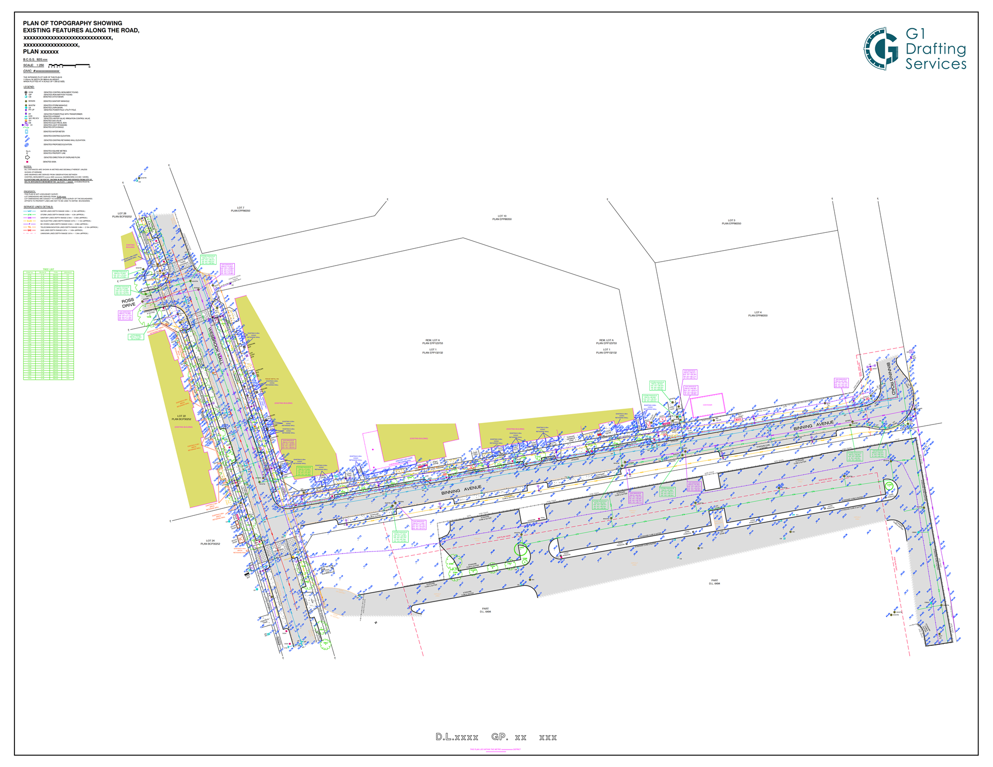 Complex Existing Conditions & Utility Mapping drawing by G1 Drafting Services